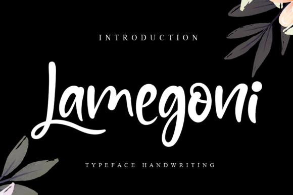 Lamegoni: A Script Handwritten Font for Web Design