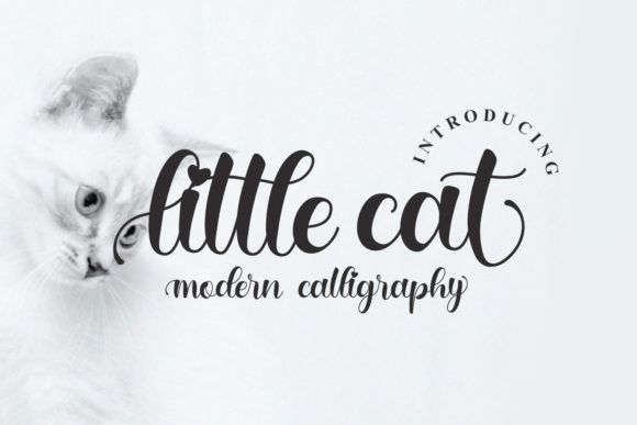 Little Cat Font: Elevate Your Campaign Visuals