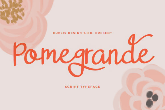 Pomegrande: The Delicate Script Font for Modern Brands