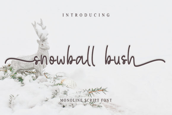 Snowball Bush: A Handwritten Typeface for Editorial Charm